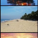 Alleppey backwaters, Kerala, India<br />photo credit: Wikipedia