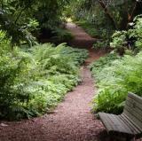 Golden Gate Park, San Francisco, USA<br />photo credit: Wikipedia