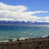 Namtso Lake, Tibet<br />photo credit: Wikipedia