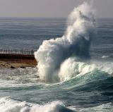 Any sea or river<br />photo credit: Wikipedia